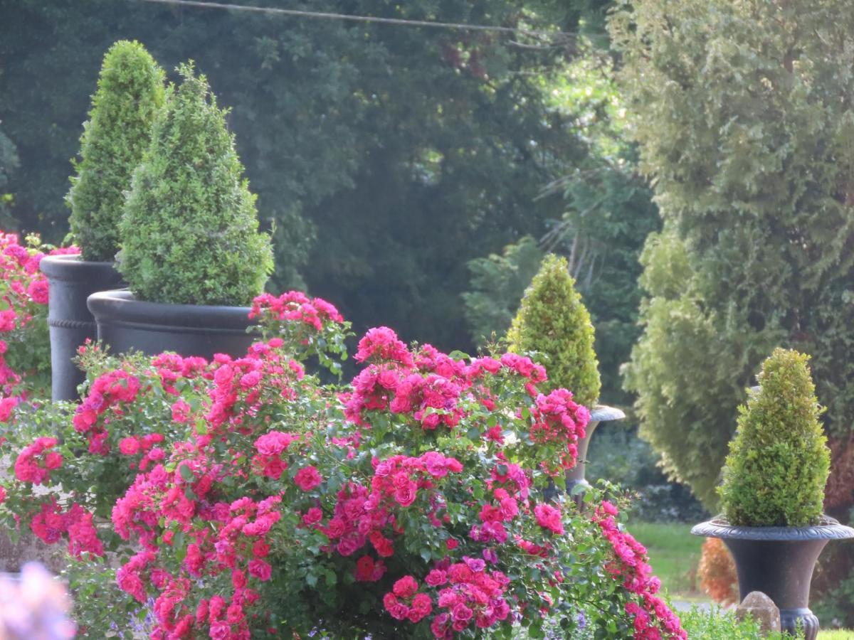 Noan Country House B&B Cashel  Buitenkant foto