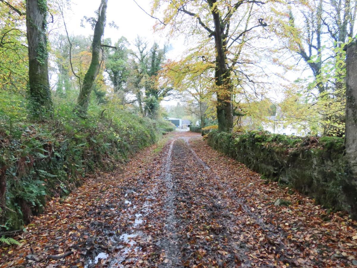 Noan Country House B&B Cashel  Buitenkant foto