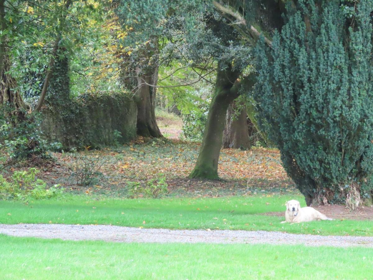 Noan Country House B&B Cashel  Buitenkant foto