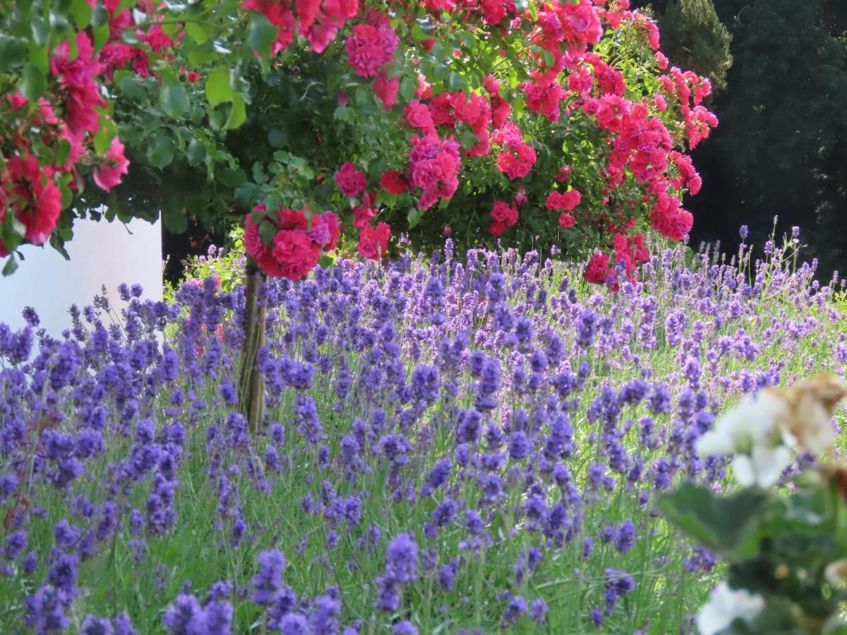 Noan Country House B&B Cashel  Buitenkant foto